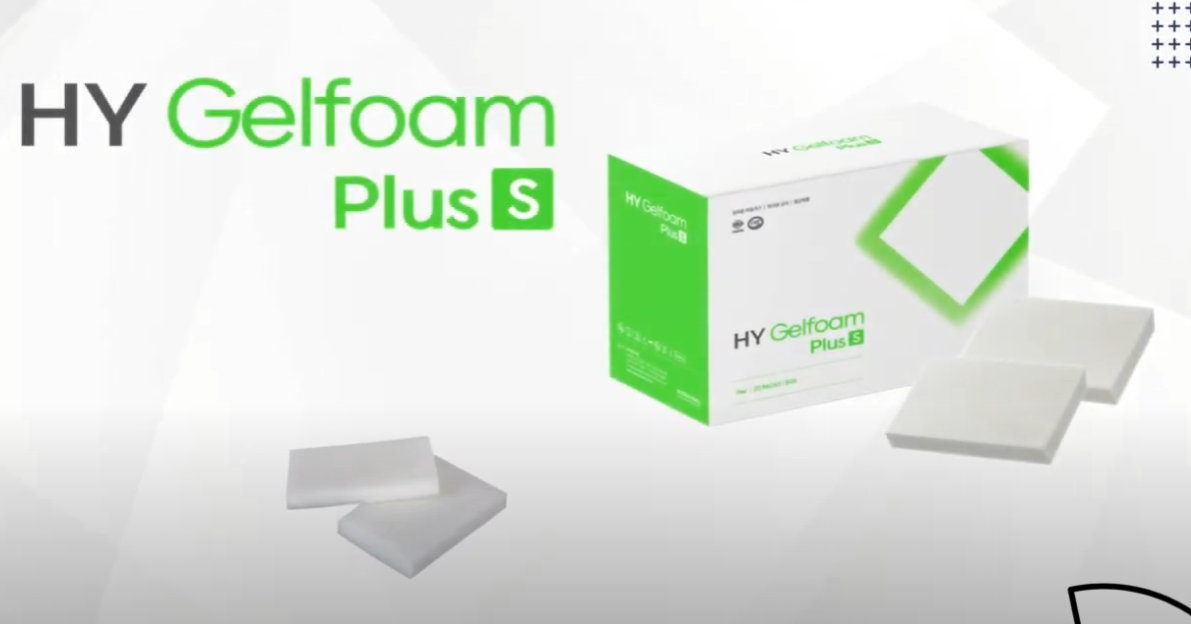 HY Gelfoam Plus S