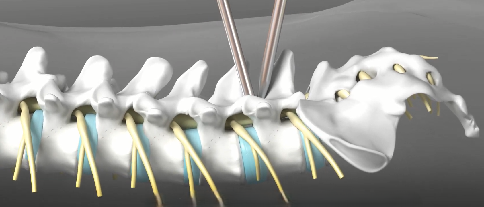 하얀메디칼 메인 배경